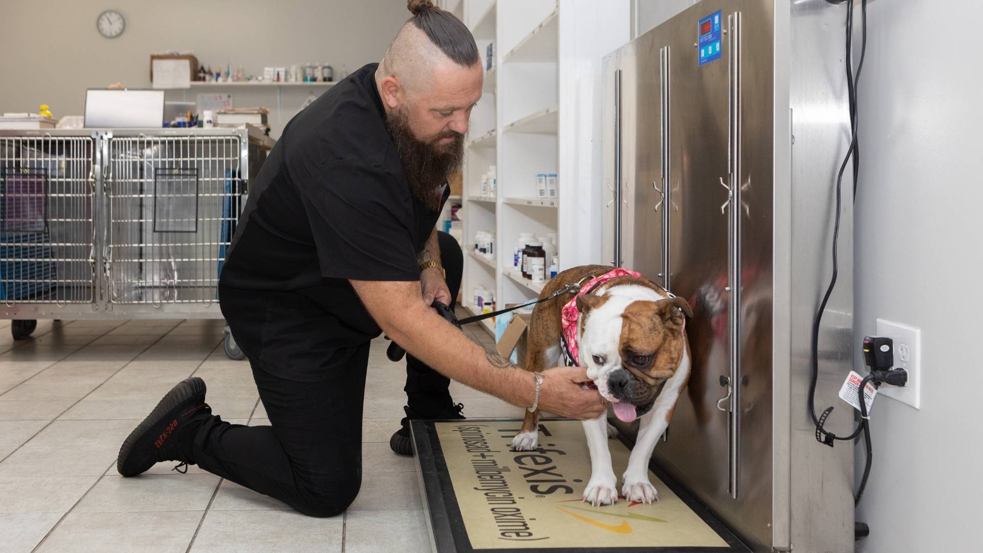 a vet staff kneels to lovingly pet a dog